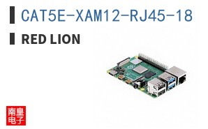 CAT5E-XAM12-RJ45-18 ͼƬ